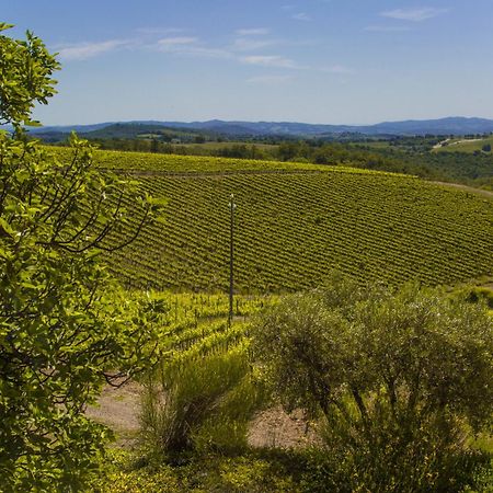 Fattoria Di Magliano Winery Villa Magliano in Toscana Ruang foto