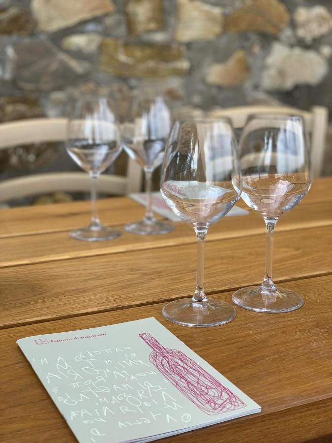 Fattoria Di Magliano Winery Villa Magliano in Toscana Bagian luar foto