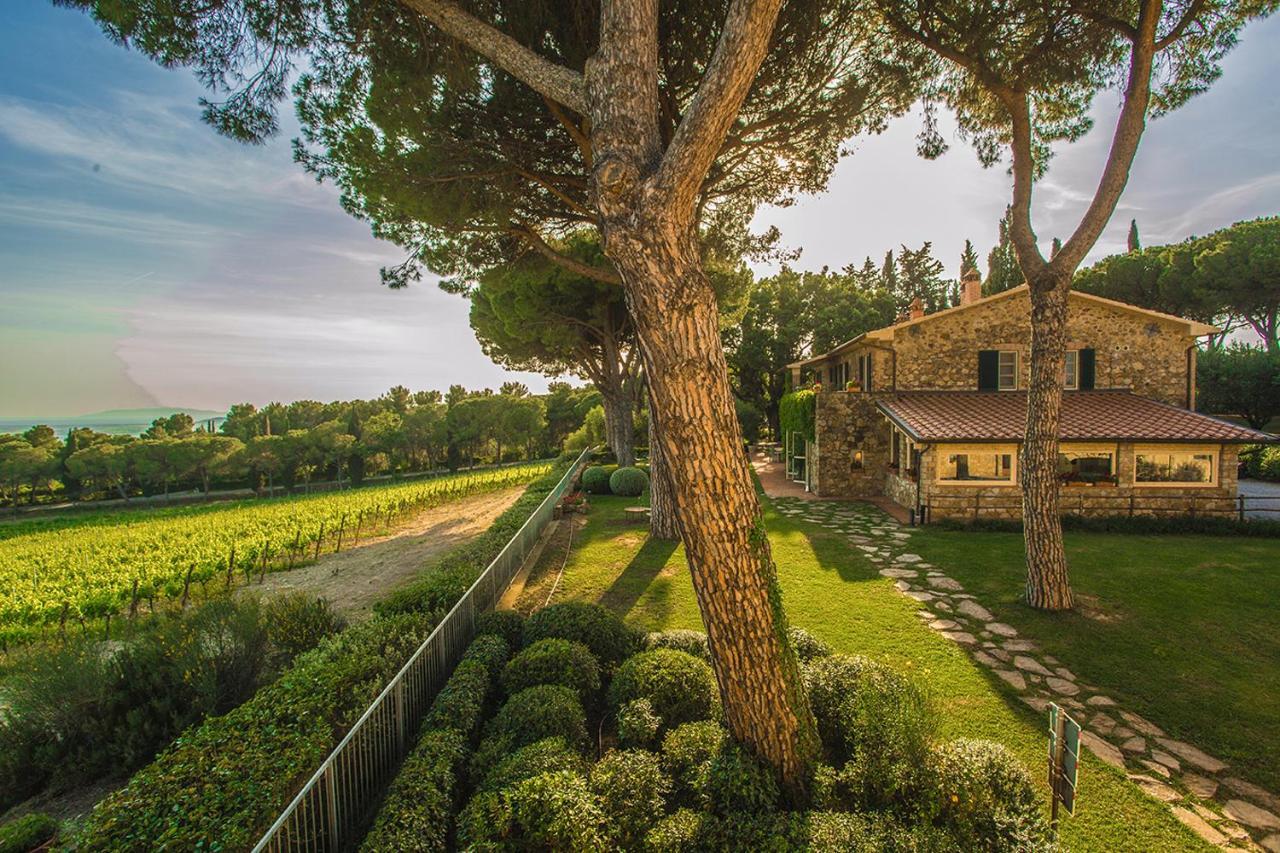 Fattoria Di Magliano Winery Villa Magliano in Toscana Bagian luar foto