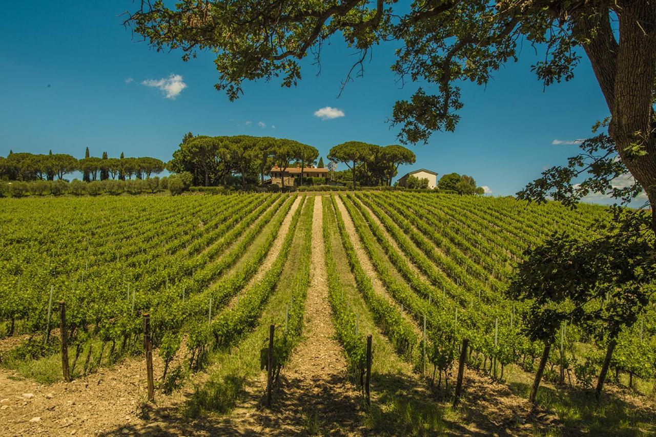 Fattoria Di Magliano Winery Villa Magliano in Toscana Bagian luar foto