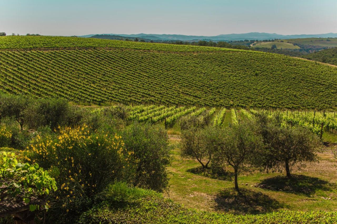 Fattoria Di Magliano Winery Villa Magliano in Toscana Bagian luar foto