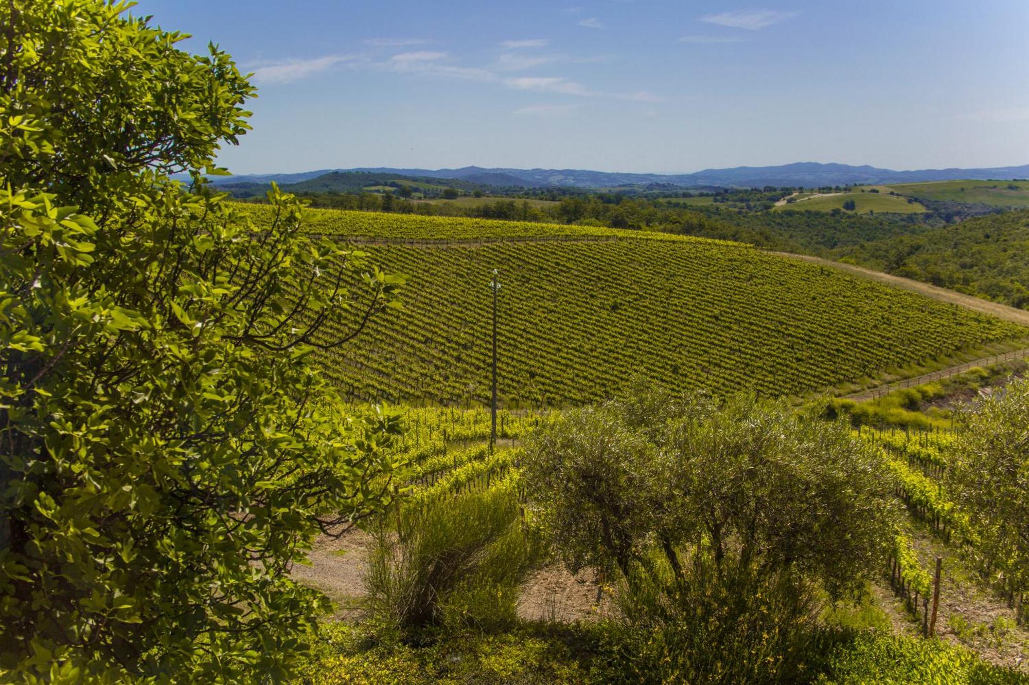 Fattoria Di Magliano Winery Villa Magliano in Toscana Ruang foto